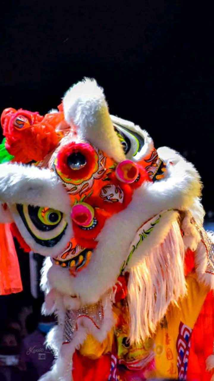 Đội lân Tứ Câu chuyên cho thuê múa lân