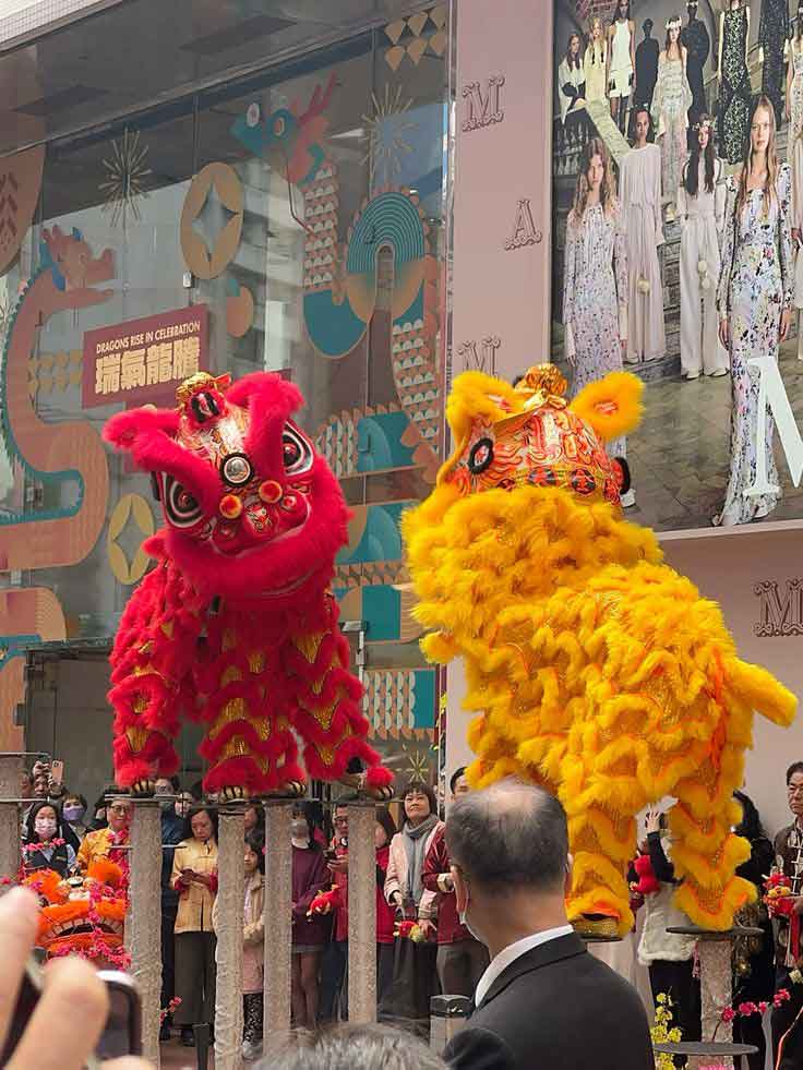 Đoàn nghệ thuật lân sư rồng Liên Chiểu